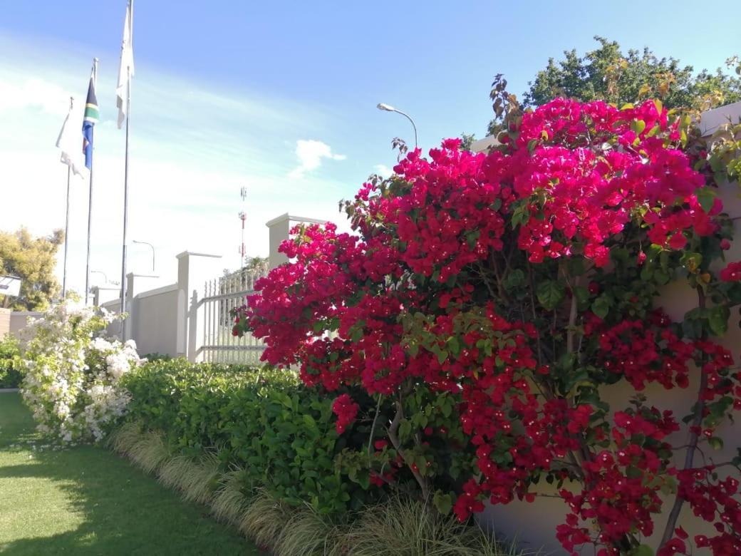 Monte Rosa Guesthouse Rawsonville Bagian luar foto