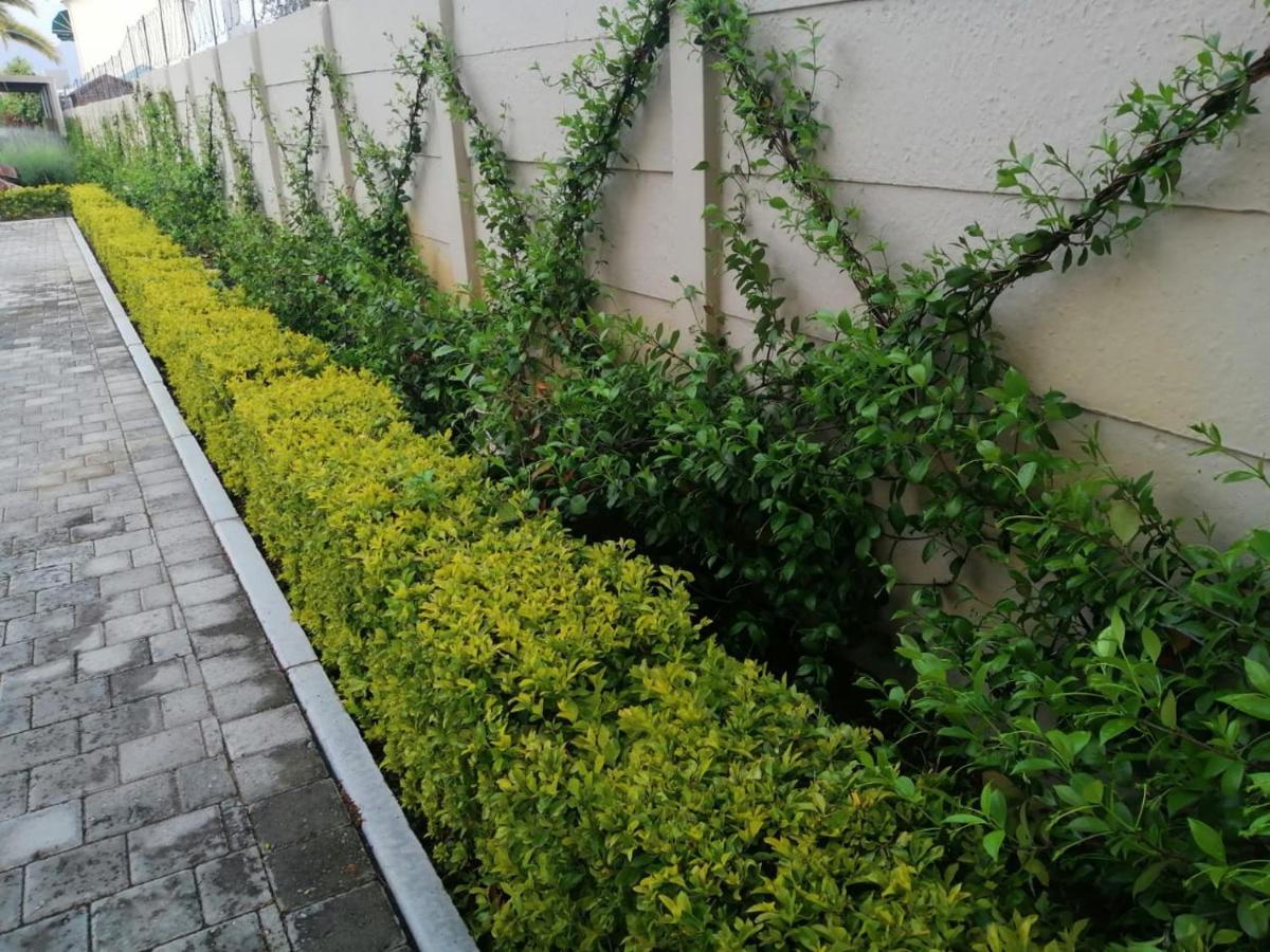 Monte Rosa Guesthouse Rawsonville Bagian luar foto